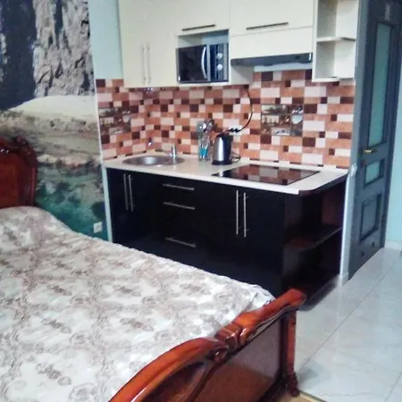 1-комнатная квартира-студия люкс элитный дом-2016 центр Apartment