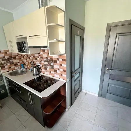Apartman 1-комнатная квартира-студия люкс элитный дом-2016 центр Truszkavec